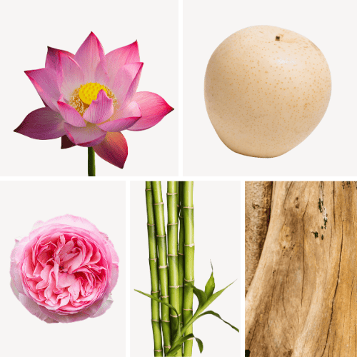 Duftnoten: Lotusblume, Nashi-Birne, Pfingsrose, Bambus, Sandelholz